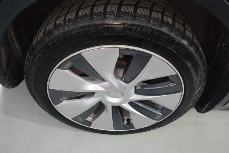 Used Tesla Model Y 2021 Long-Range All-Wheel-Drive Version
