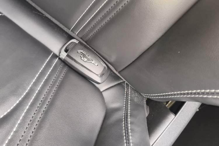 Used Ford Mustang Mach-E 2021 Leap Edition Rear-Drive Version (Standard Range)
