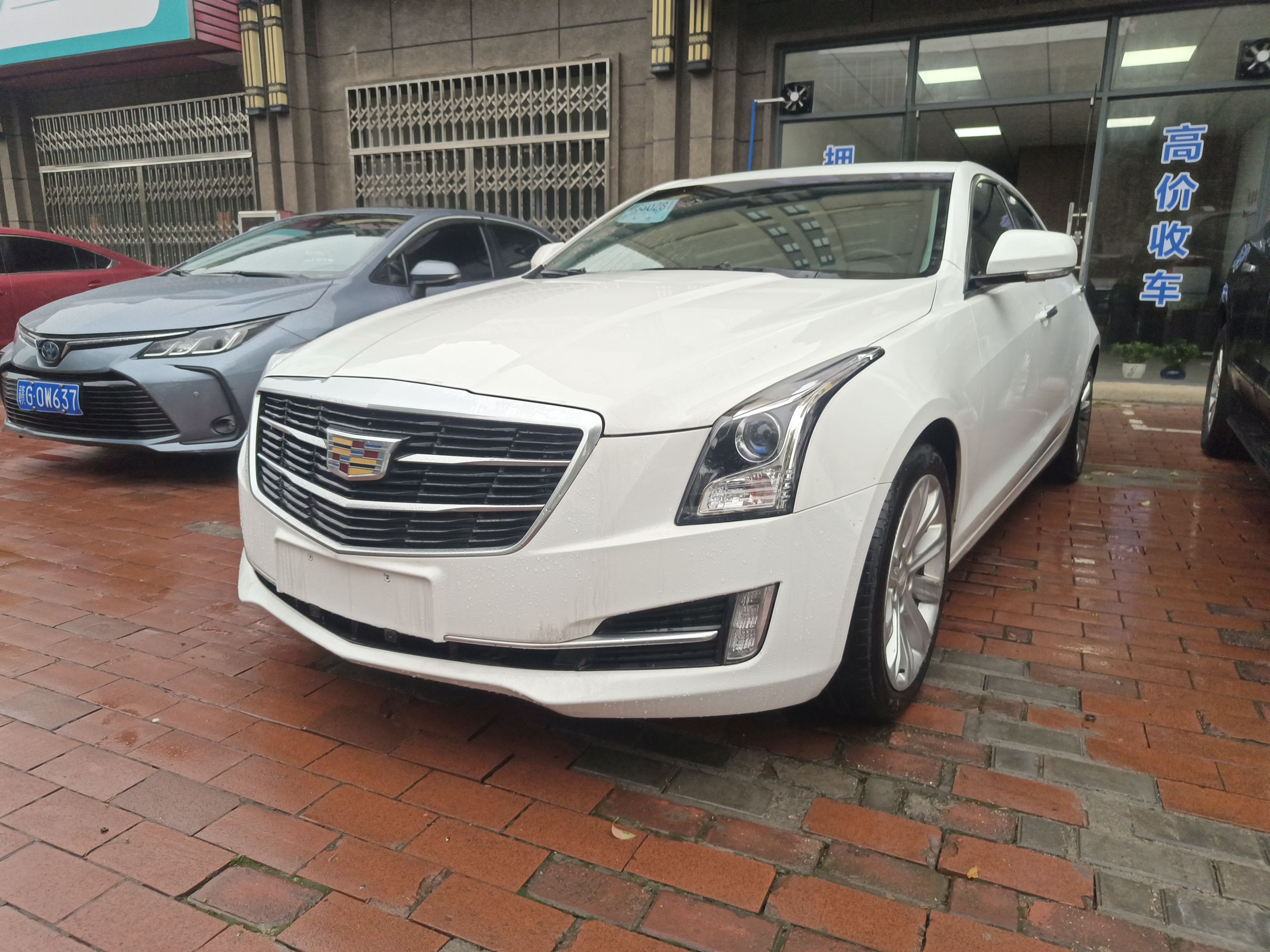 Parte inferior delantera