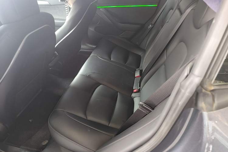 Used Tesla Model 3 2021 Standard Range Rear-Wheel Drive Upgraded Version 3D6