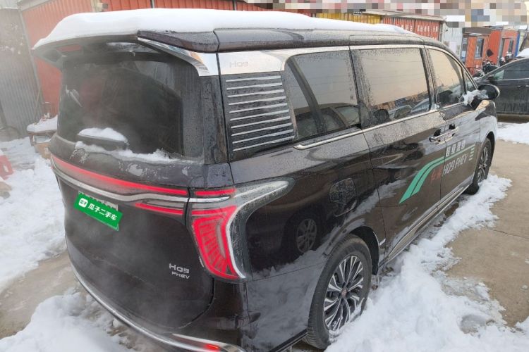 Used Hongqi HQ9 2024 2.0T Luxury Edition
