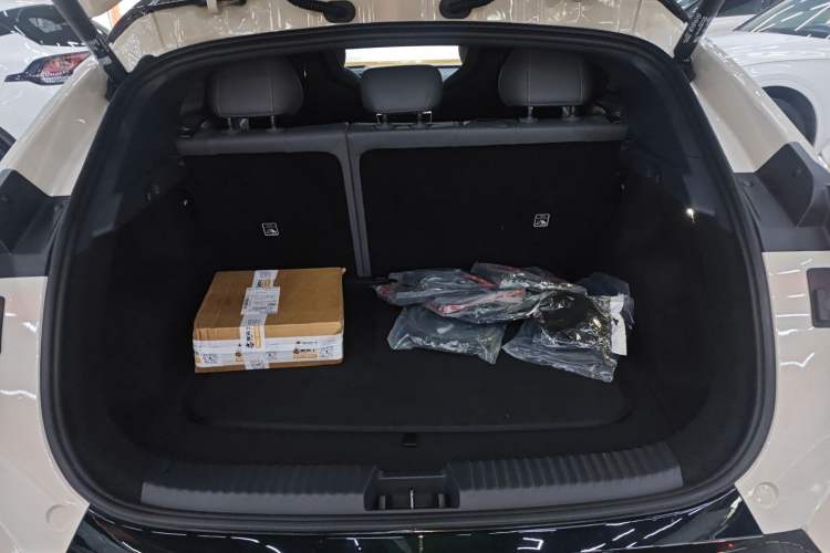 Used Lynk & Co Z20 2025 530 km Range Rear-Wheel Drive Max
