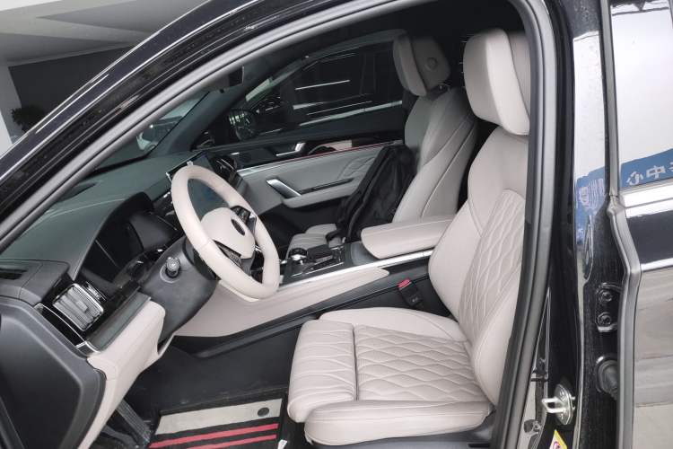 Used BYD Tang New Energy 2025 DM-i 115KM Flagship Model Left Front Seat