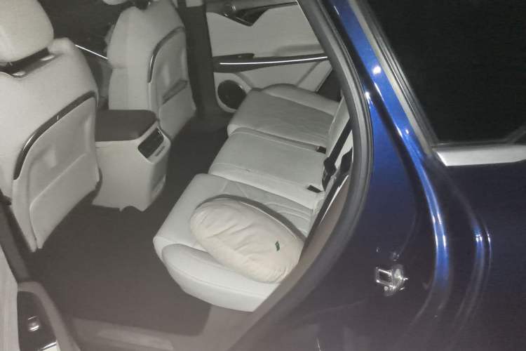 Used VOYAH FREE 2021 Four-Wheel Drive Standard Range-Extended Exclusive Luxury Package Left Rear Seat