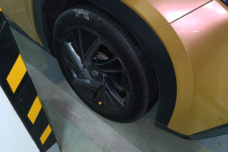 Used AION LX 2019 80D