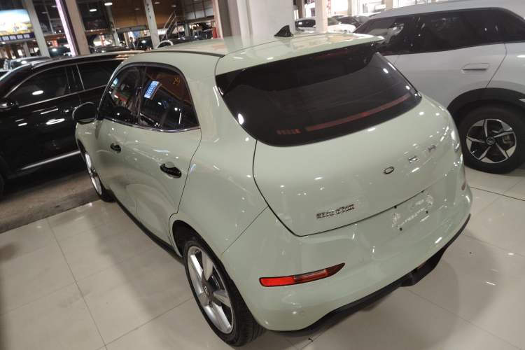 Used ORA Good Cat 2022 Morandi Edition 400km Standard Range Luxury Version Lithium-Ion Battery
