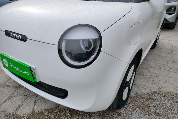 Used Qiyuan Lumin 2023 205km Xiangqin Version
