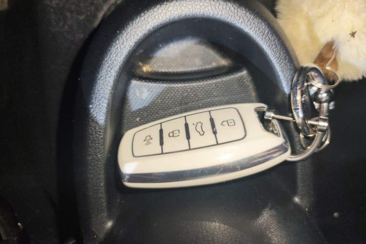 Used ORA Black Cat 2021 351 km Luxury Version