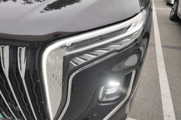 Used Hongqi HQ9 2024 2.0T Luxury Edition