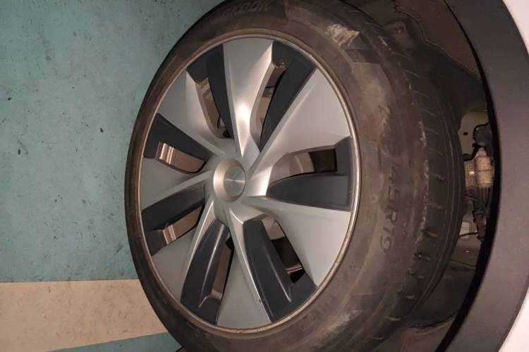 Used Tesla Model Y 2021 Standard Range Rear-Wheel Drive Version
