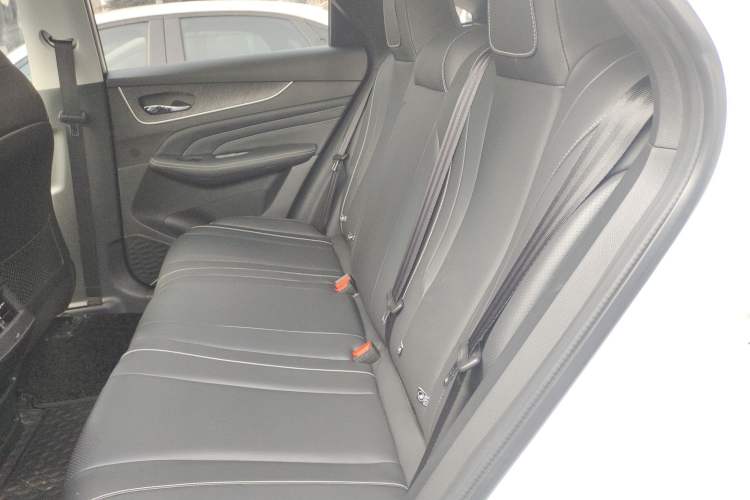 Used Venucia V 2022 260T Black Horse Edition – Top-Tier Choice Left Rear Seat