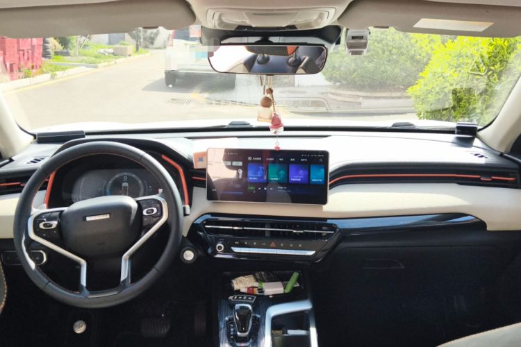 Used Haval LHERY 2021 High-Performance Version 1.5T Golden Rabbit Headliner