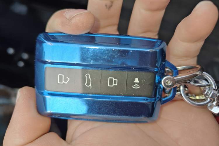 Used Tank 300 2023 Off-Road Edition 2.0T Conqueror
