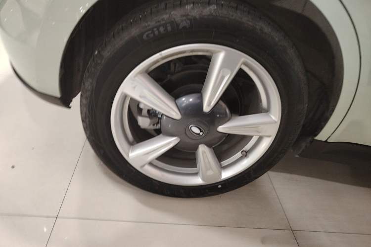 Used ORA Good Cat 2022 Morandi Edition 400km Standard Range Luxury Version Lithium-Ion Battery
