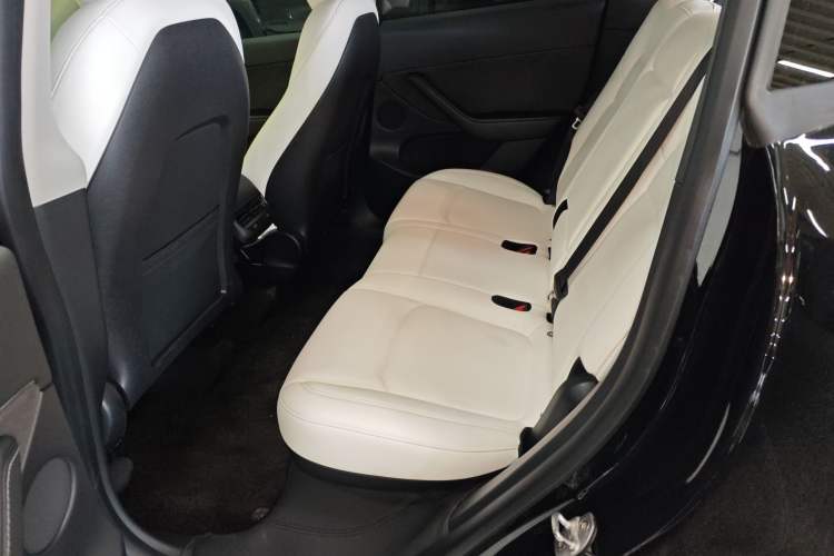 Used Tesla Model Y 2021 Standard Range Rear-Wheel Drive Version Left Rear Seat