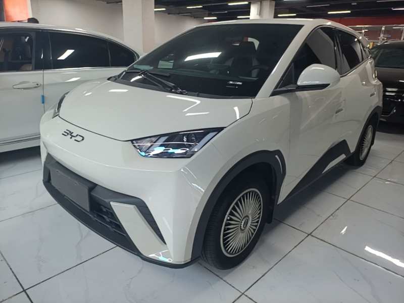 Used BYD Seagull 2024 Honor Edition 305km Dynamic Version — 1