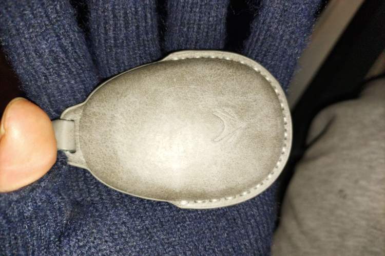 Used ARCFOX Kaola S 2024 PRO
