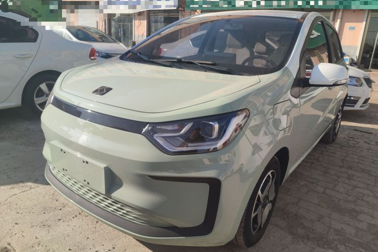 Used SOL E10X 2022 Flower Fairy Style Baby's Breath