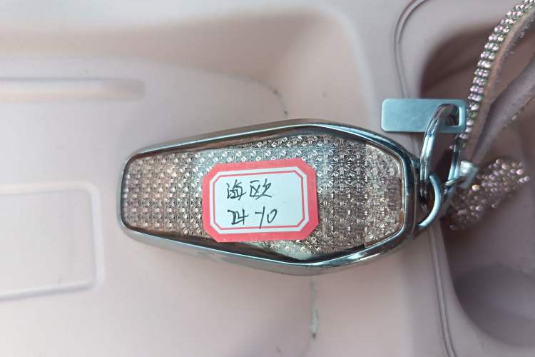 Used BYD Seagull 2024 Honor Edition 305km Dynamic Version Vehicle Key
