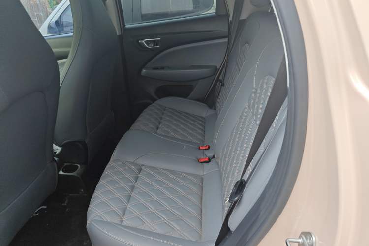 Used Leapmotor T03 2021 400 Luxury Edition Left Rear Seat