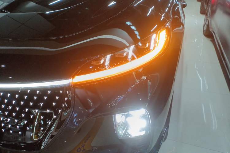 Used VOYAH COURAGE 2024 Four-Wheel Drive Global Edition
