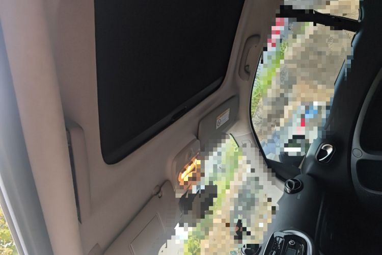 Used smart fortwo 2015 1.0L 52 kW Hardtop Passion Edition Headliner