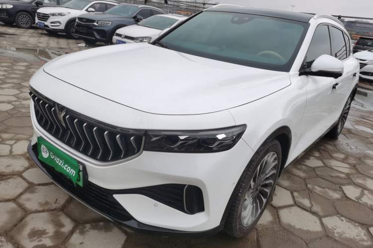 Used VOYAH FREE 2021 Four-Wheel Drive Standard Range-Extended Exclusive Luxury Package