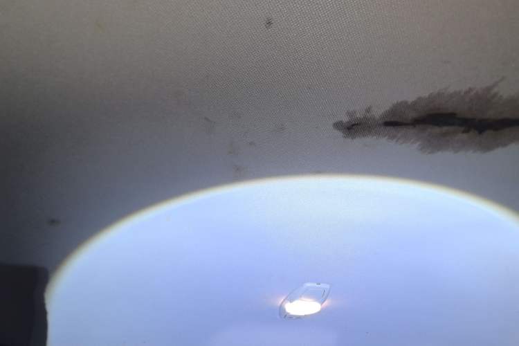 Used Ford Focus 2012 Sedan 1.6L Automatic Comfort Model
