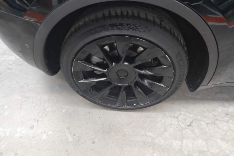 Used Tesla Model Y 2021 Standard Range Rear-Wheel Drive Version Exterior 5