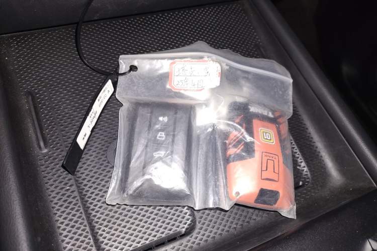 Used Tank 300 New Energy 2024 Hi4-T