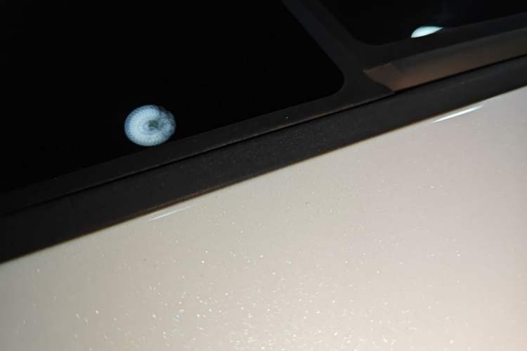 Used CHANGAN OSHAN X5 PLUS 2023 Revised 1.5T DCT Pioneer Edition
