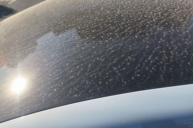 Used ARCFOX Kaola S 2024 AIR
