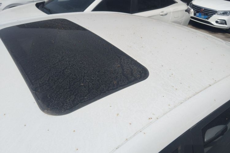 Used Roewe i5 2023 1.5L CVT Luxury Edition