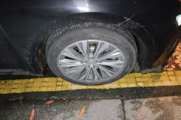 Used Hongqi E-QM5 2023 620km PLUS
