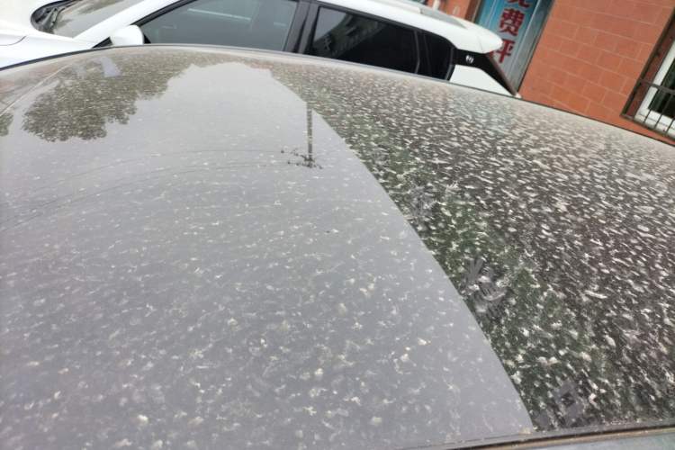 Used CHANGAN UNI-T 2022 1.5T Prestige Version Roof