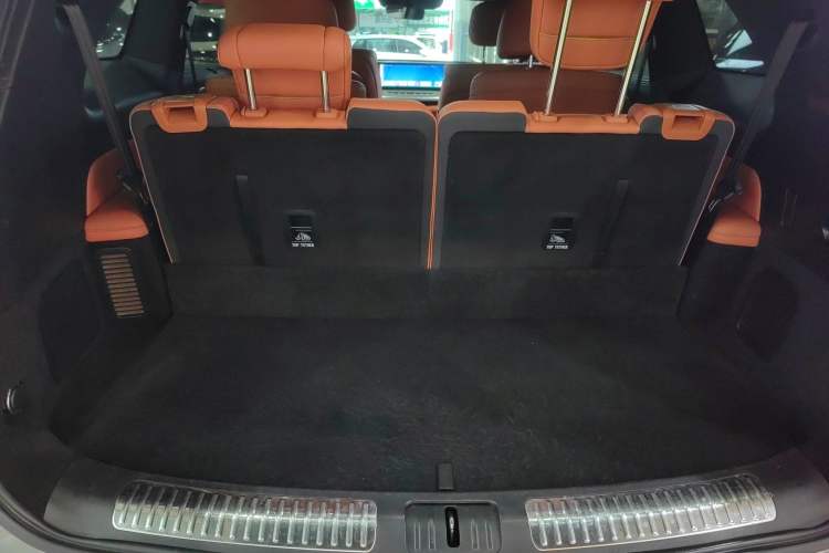 Used Wey Lanshan 2023 Four-Wheel Drive Ultra-Long Range Version