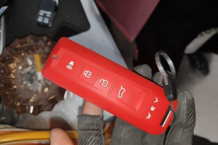 Used Tank 300 2021 Off-Road Edition 2.0T Conqueror Vehicle Key