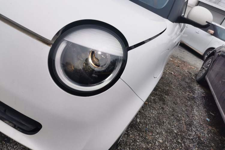 Used Qiyuan Lumin 2023 205km Xiangqin Version