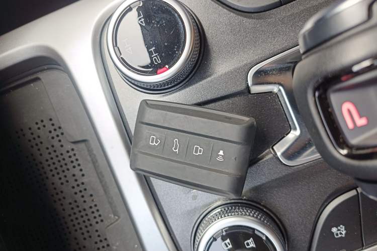 Used Tank 300 2024 2.0T Conqueror