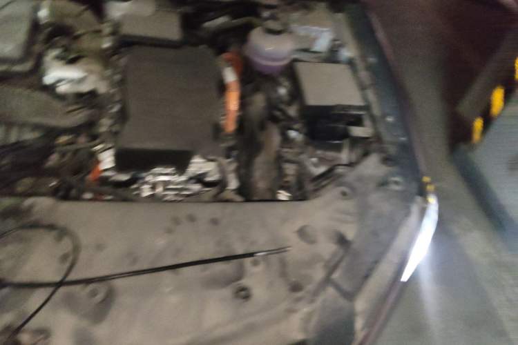 Used BYD Qin PLUS 2024 HONOR Edition DM-i 55KM Leading Model