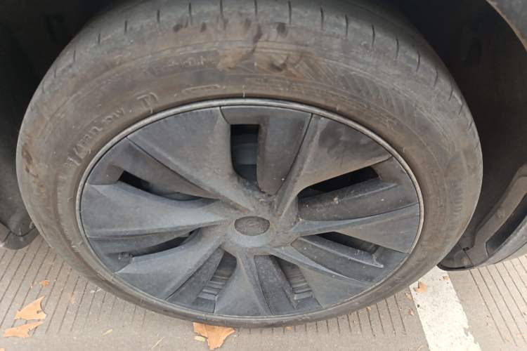 Used Tesla Model Y 2024 Rear-Wheel-Drive Version