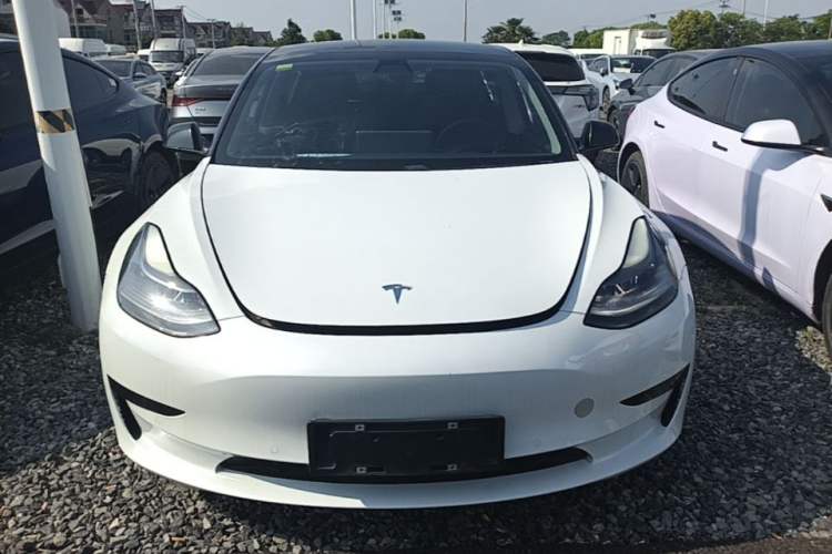 Used Tesla Model 3 2021 Revised Version Standard Range Rear-Wheel Drive Upgraded Edition 3D1
