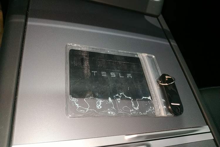 Used Tesla Model Y 2025 Long-Range All-Wheel-Drive Version
