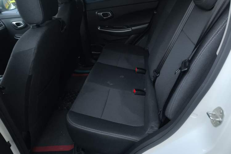 Used Dayun Yuehu 2022 30.66 kWh Two-Wheel Drive Standard Version
