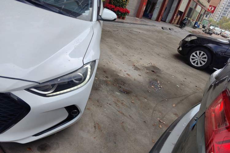 Used Hyundai Elantra (6th Generation / Lingdong) 2016 1.6L Automatic ZhiXuan · Youth Edition
