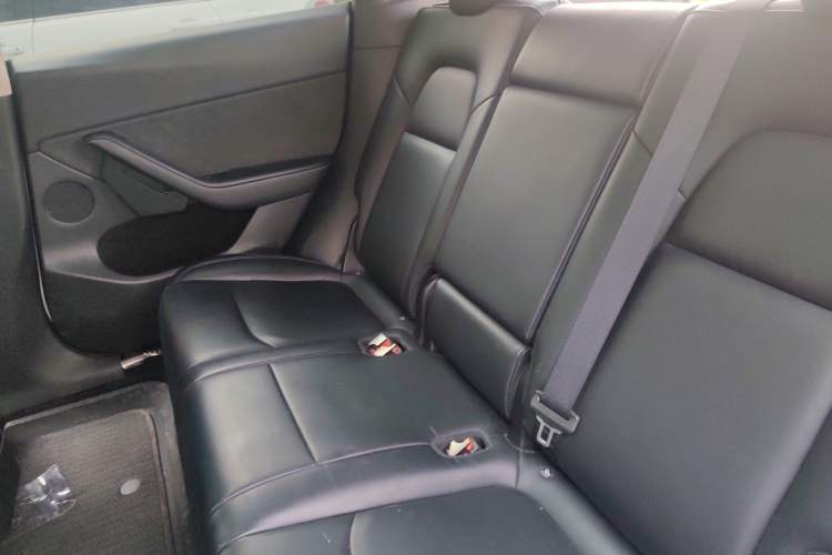 Used Tesla Model Y 2021 Standard Range Rear-Wheel Drive Version
