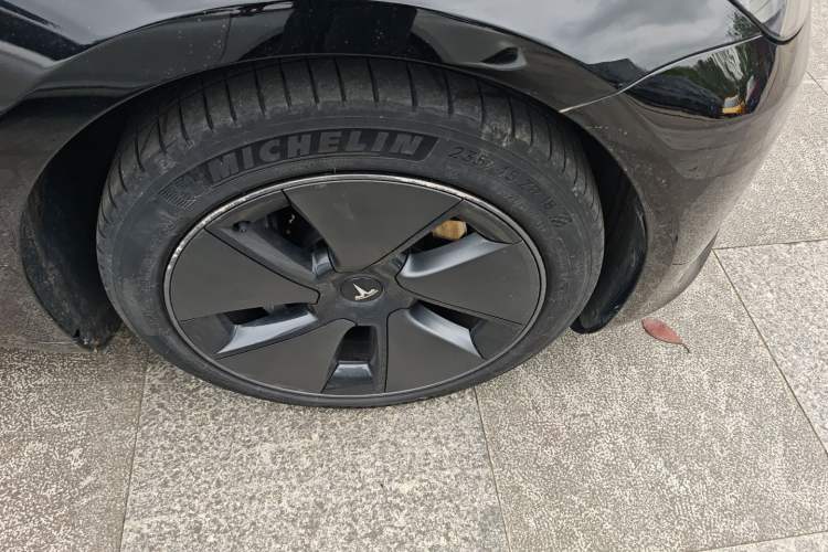 Used Tesla Model 3 2021 Standard Range Rear-Wheel Drive Upgraded Version 3D6
