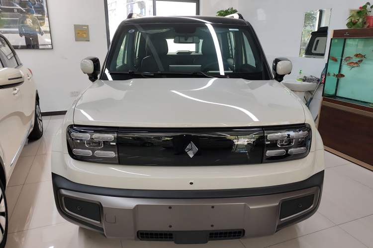 Used Baojun Spark EUV 2026 301km Flagship Edition
