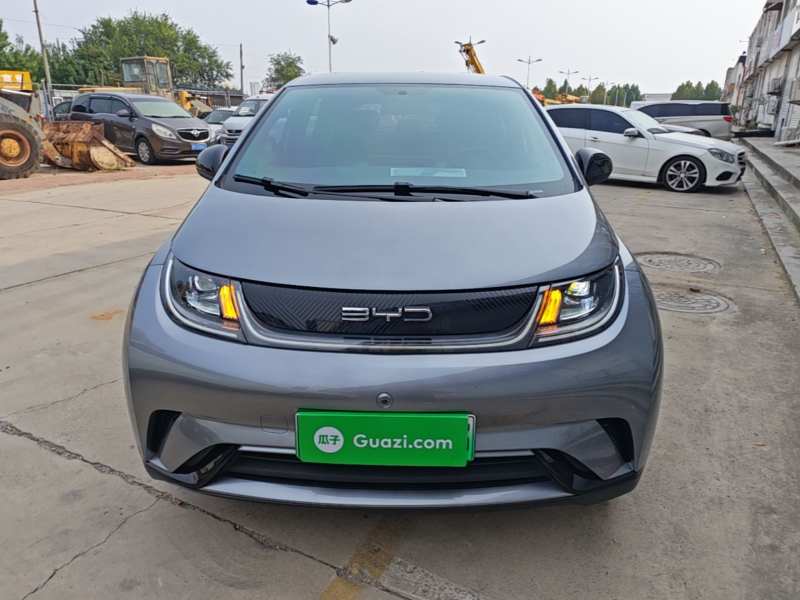 Used BYD Dolphin 2024 Honor Edition 420km Freedom Version — 2