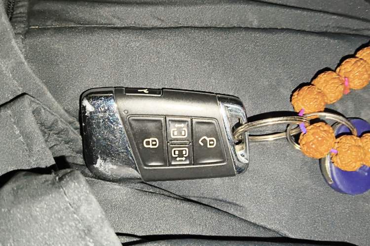 Used Volkswagen Viloran 2020 330TSI Luxury Edition
